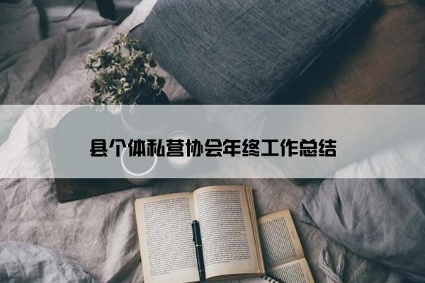 县个体私营协会年终工作总结