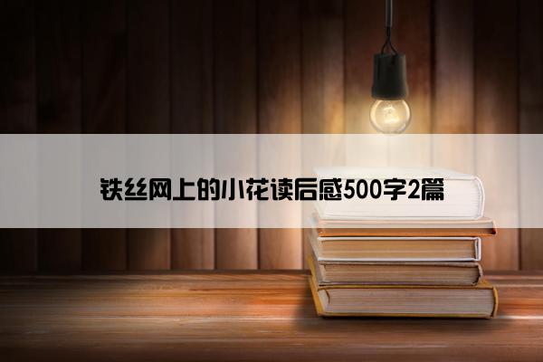 铁丝网上的小花读后感500字2篇