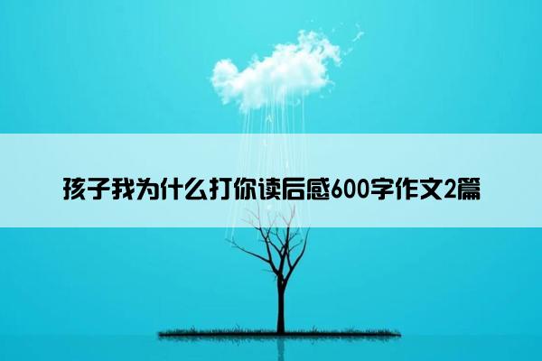 孩子我为什么打你读后感600字作文2篇 孩子我为什么打你读后感600字作文2篇