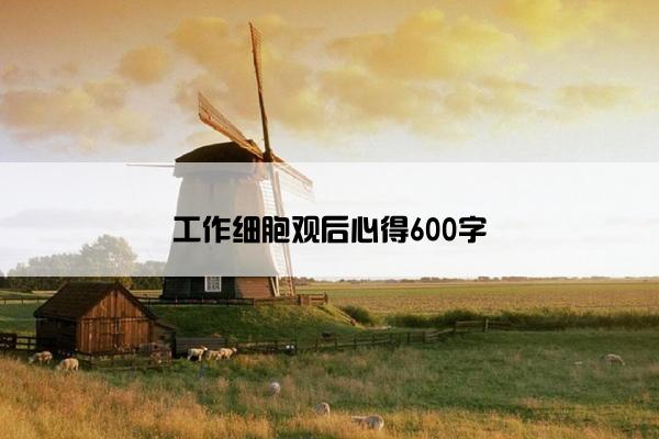 工作细胞观后心得600字
