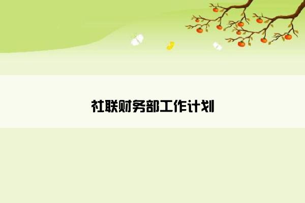 社联财务部工作计划