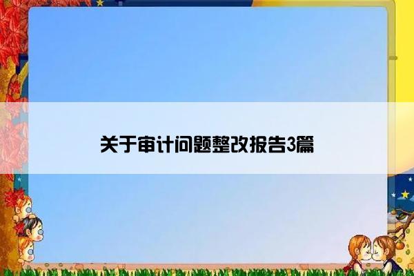 关于审计问题整改报告3篇