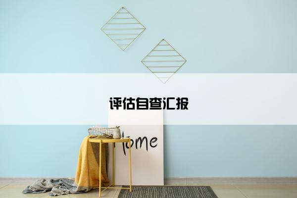 评估自查汇报 评估自查汇报