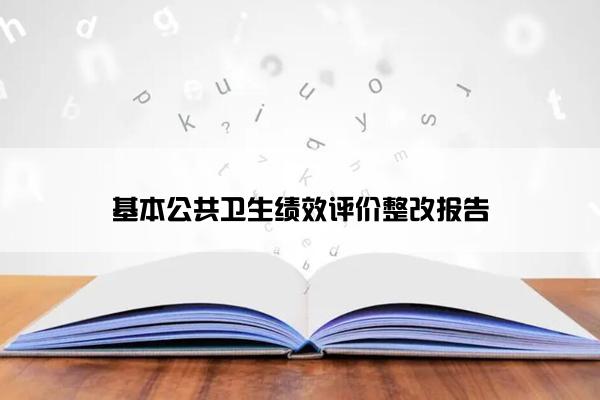 基本公共卫生绩效评价整改报告