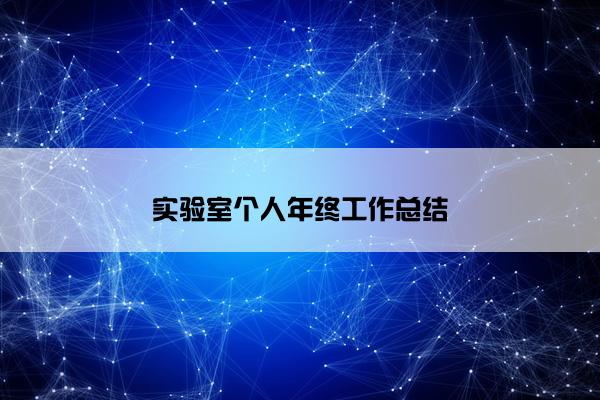 实验室个人年终工作总结