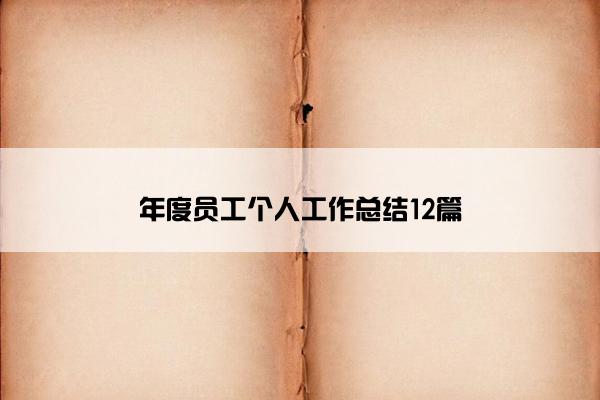 年度员工个人工作总结12篇