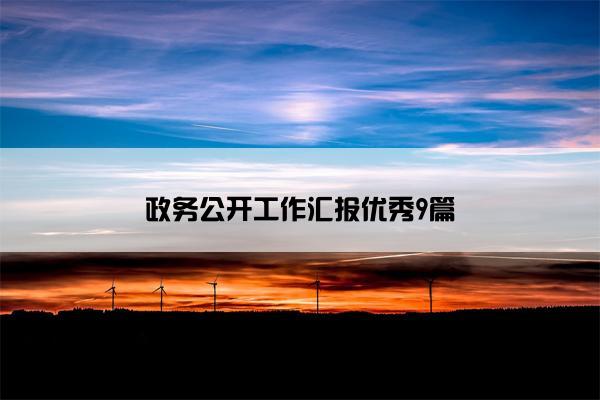 政务公开工作汇报优秀9篇