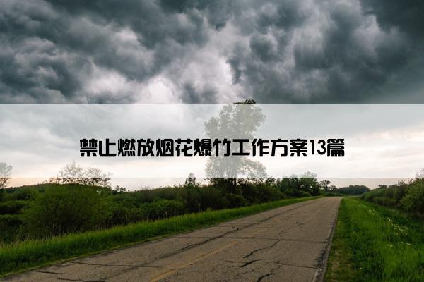禁止燃放烟花爆竹工作方案13篇 禁止燃放烟花爆竹工作方案13篇
