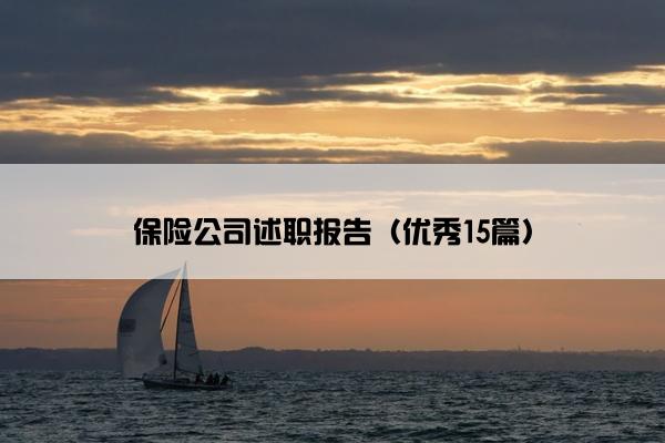 保险公司述职报告（优秀15篇）