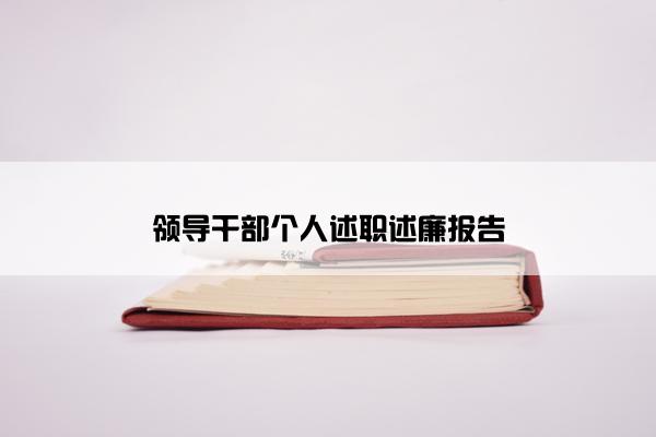 领导干部个人述职述廉报告