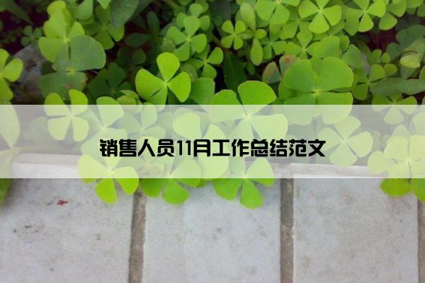 销售人员11月工作总结范文