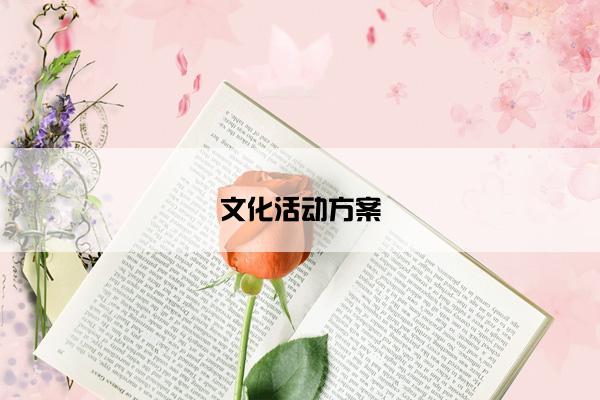 文化活动方案