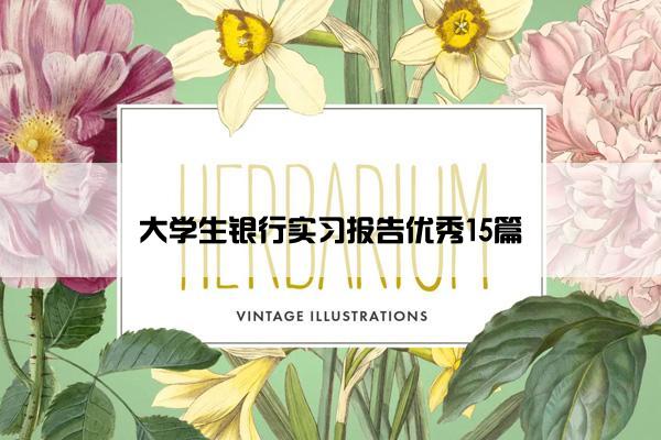 大学生银行实习报告优秀15篇