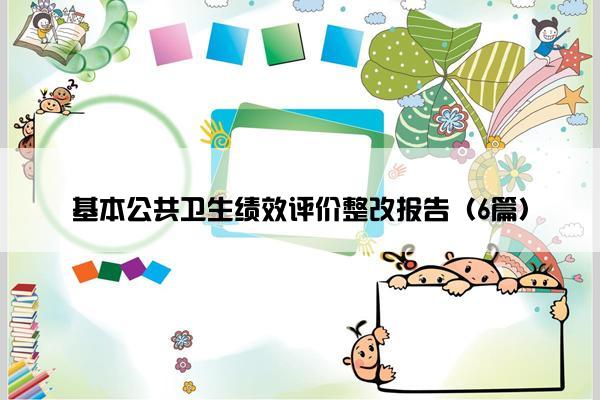 基本公共卫生绩效评价整改报告（6篇）