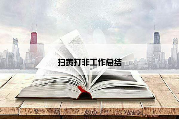 扫黄打非工作总结