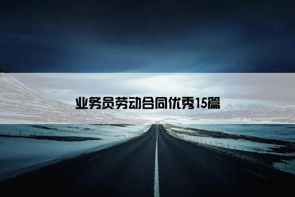业务员劳动合同优秀15篇