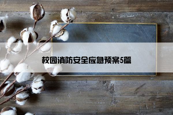 校园消防安全应急预案5篇