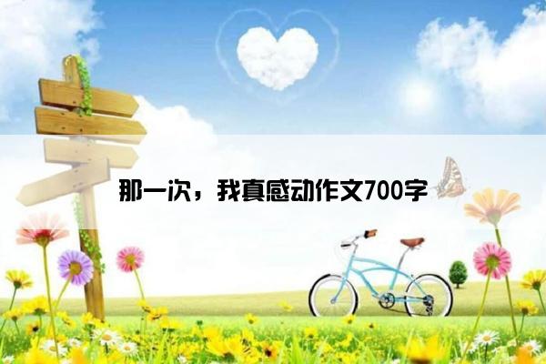 那一次，我真感动作文700字