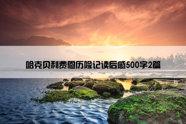 哈克贝利费恩历险记读后感500字2篇