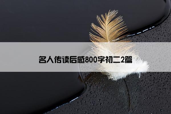 名人传读后感800字初二2篇