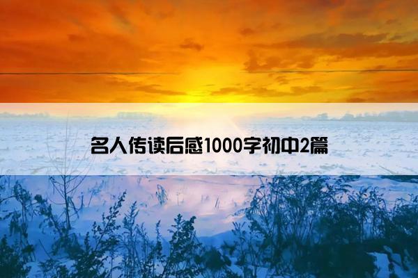 名人传读后感1000字初中2篇