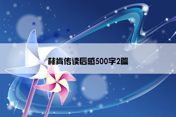 林肯传读后感500字2篇
