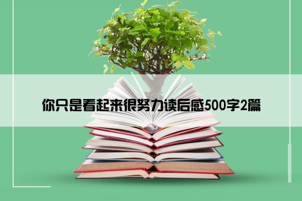 你只是看起来很努力读后感500字2篇
