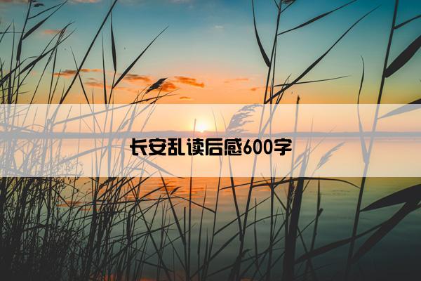 长安乱读后感600字