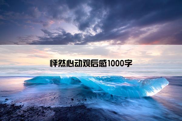 怦然心动观后感1000字