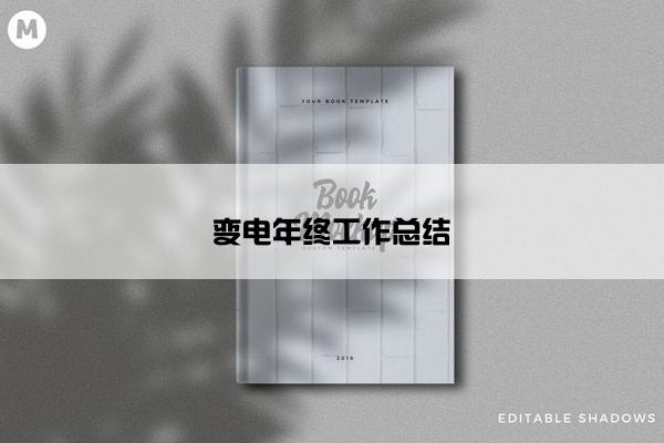 变电年终工作总结 变电年终工作总结