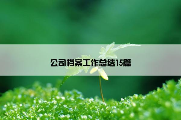 公司档案工作总结15篇