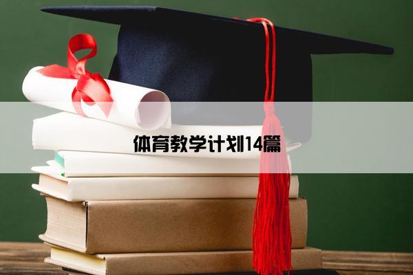 体育教学计划14篇