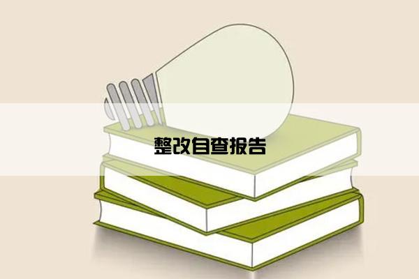 整改自查报告