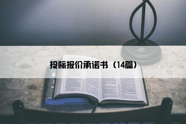 投标报价承诺书（14篇）