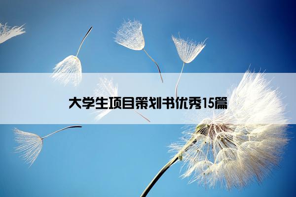 大学生项目策划书优秀15篇