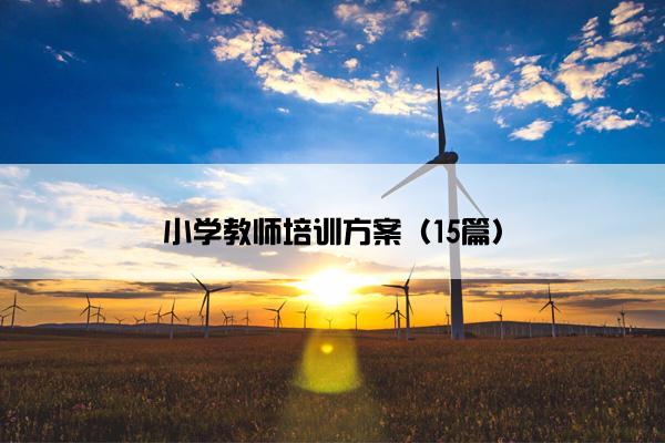 小学教师培训方案（15篇）