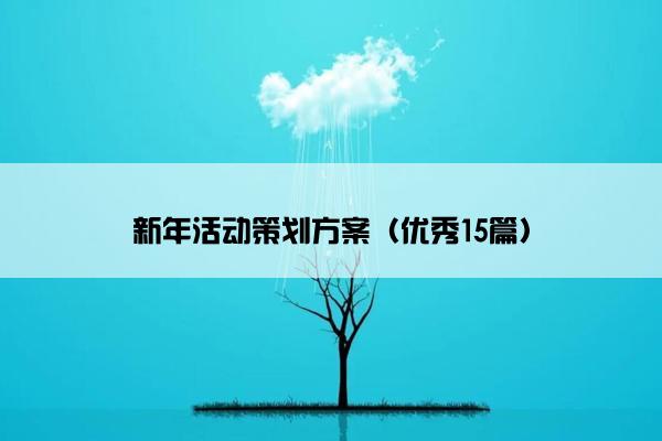 新年活动策划方案（优秀15篇）