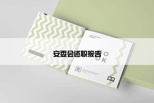 安委会述职报告 安委会述职报告