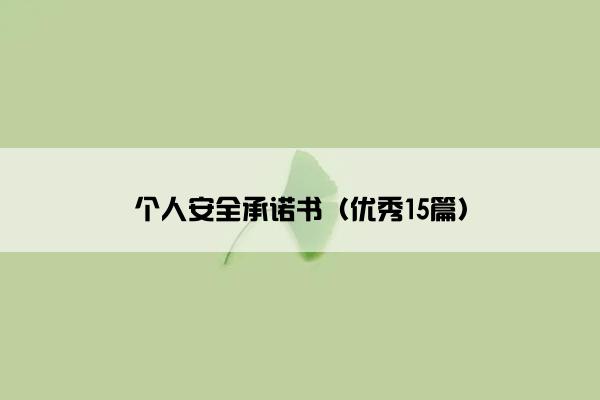 个人安全承诺书（优秀15篇）