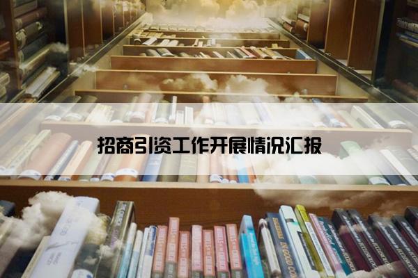 招商引资工作开展情况汇报