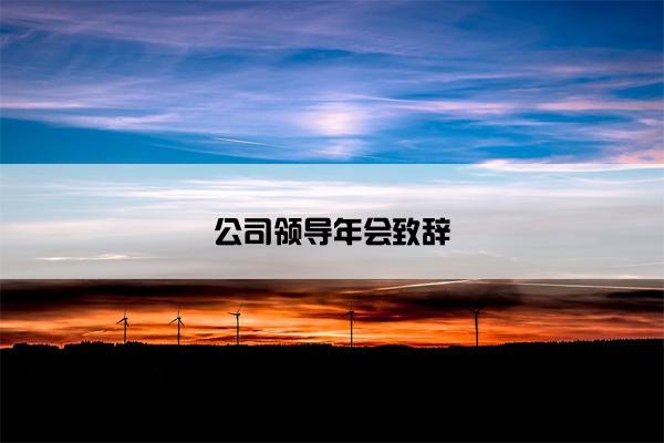 公司领导年会致辞