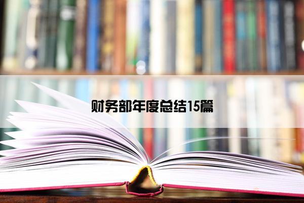 财务部年度总结15篇