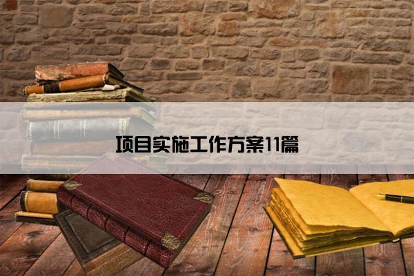 项目实施工作方案11篇