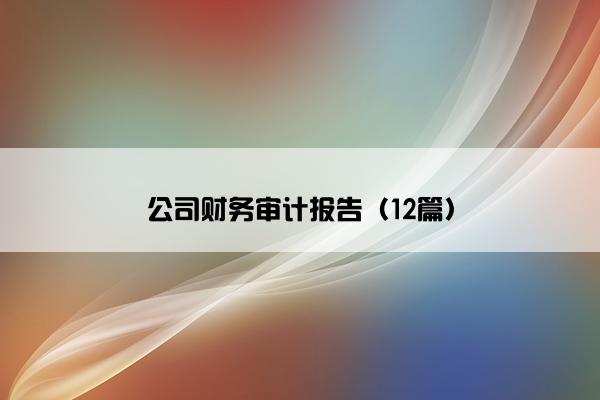 公司财务审计报告（12篇）