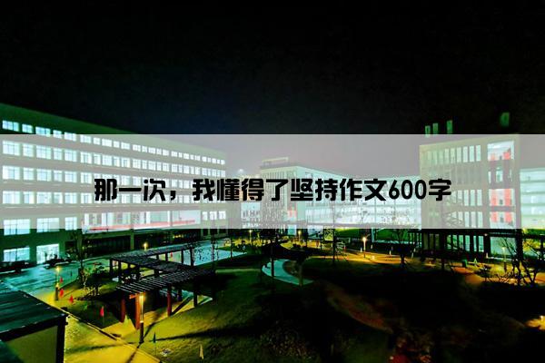 那一次，我懂得了坚持作文600字