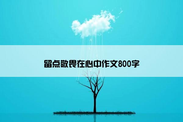 留点敬畏在心中作文800字 留点敬畏在心中作文800字