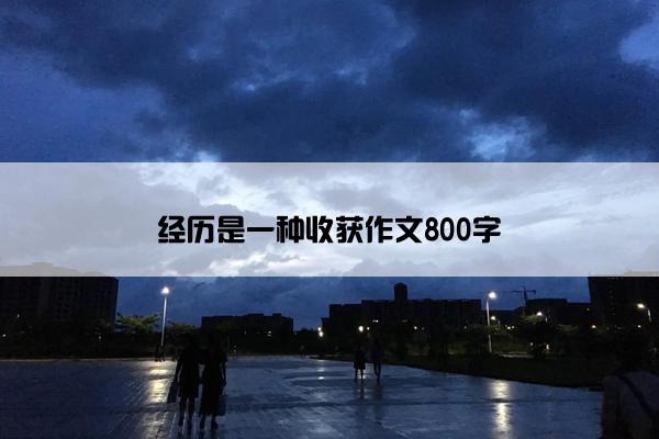 经历是一种收获作文800字