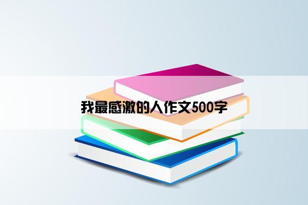 我最感激的人作文500字