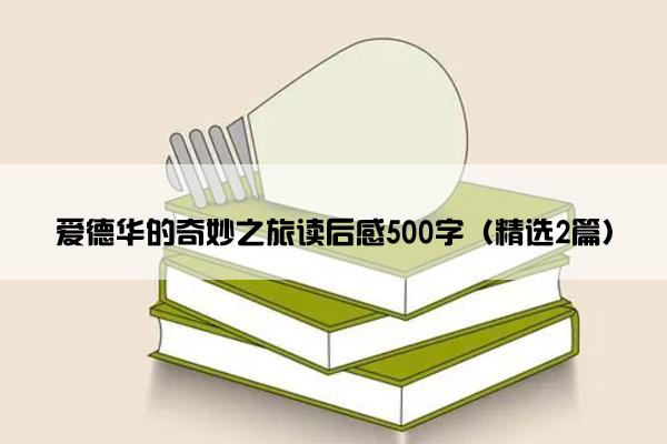 爱德华的奇妙之旅读后感500字（精选2篇）