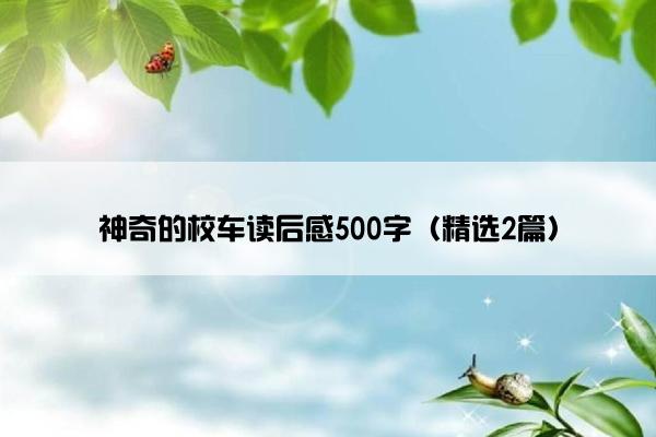 神奇的校车读后感500字（精选2篇）